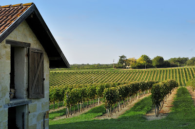 Vineyards Bordeaux - Christie's International Real Estate à Mérignas