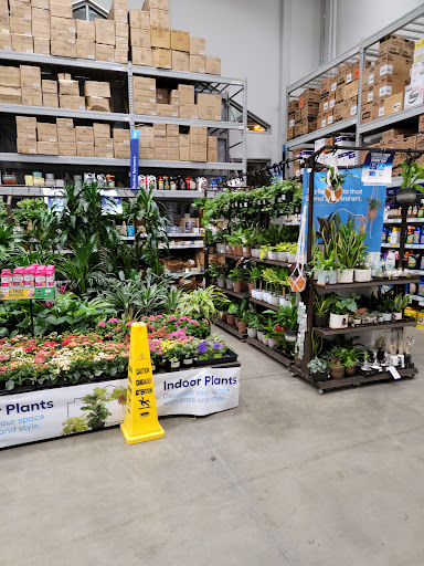 Lowes Home Improvement image