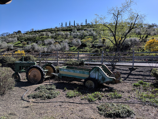 Winery «Benziger Family Winery», reviews and photos, 1883 London Ranch Rd, Glen Ellen, CA 95442, USA