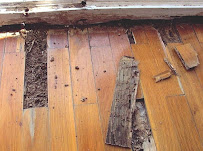 Big D Termite Removal Experts - Photo 3 - Car repair in Dallas, TX, Dallas