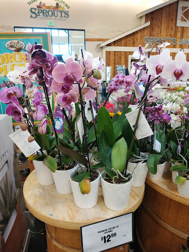 Health Food Store «Sprouts Farmers Market», reviews and photos, 5130 Peachtree Pkwy #100, Peachtree Corners, GA 30092, USA