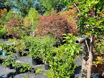 Faulkner Landscaping & Nursery - Car repair in Hooksett, NH, Manchester - Rated 4.7/5