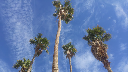 Visitor Center «Lake Mead Visitor Center», reviews and photos