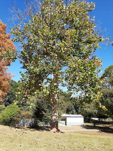 Public Golf Course «Candler Park Golf Course», reviews and photos, 585 Candler Park Dr NE, Atlanta, GA 30307, USA