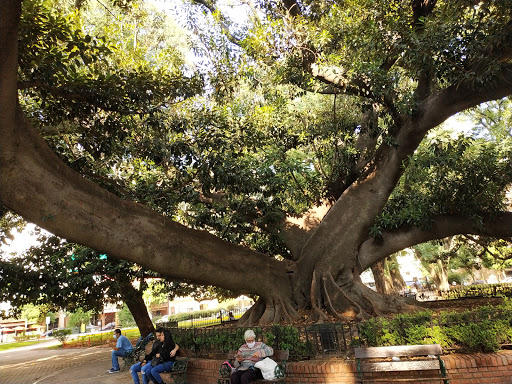 Planes un martes en Buenos Aires