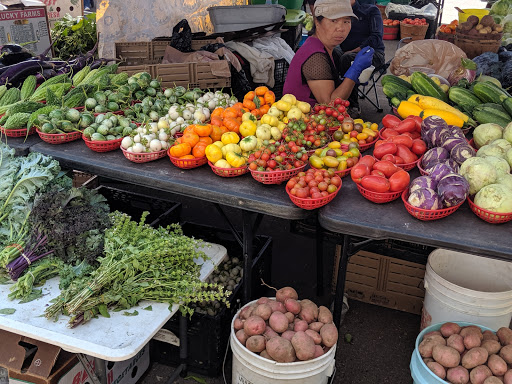 Shopping Mall «Uni-Dale Mall», reviews and photos, 608 University Ave W, St Paul, MN 55103, USA