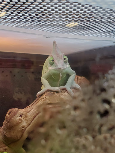 Pet Supply Store «PetSmart», reviews and photos, 150 E Blackstock Rd a, Spartanburg, SC 29301, USA