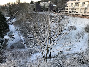 Thomas C. Wales Park - photo 91