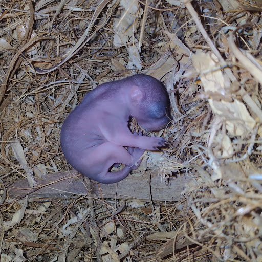 Pet Supply Store «Park Feed Store & Pet Supply», reviews and photos, 5775 Park Blvd N, Pinellas Park, FL 33781, USA