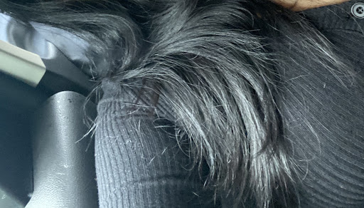 Beauty Salon «THE aRT OF HAIR INC.», reviews and photos, 12 Front St, Newburgh, NY 12550, USA