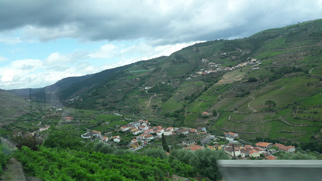 R. Cap. Afonso Alves Araújo, 5050-369, Portugal