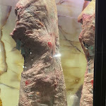 Photo n°13 de l'avis de Paul.u fait le 23/11/2022 à 10:08 sur le  BifBurger Exclusive à Ottaviano