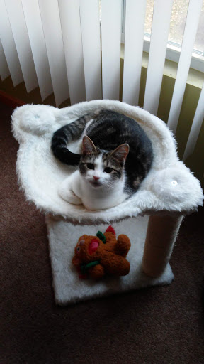 Pet Supply Store «My Pet Food Store - Loves Park», reviews and photos, 6132 E Riverside Blvd, Loves Park, IL 61111, USA