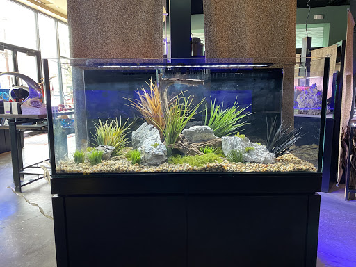 Tropical Fish Store «Picasso Exotic Aquatics», reviews and photos, 11560 Ash St, Leawood, KS 66211, USA