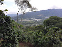 Finca San Antonio Amatepec