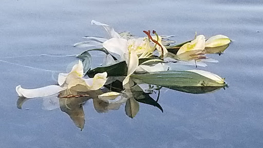 Modern Art Museum «Modern Art Museum of Fort Worth», reviews and photos, 3200 Darnell St, Fort Worth, TX 76107, USA