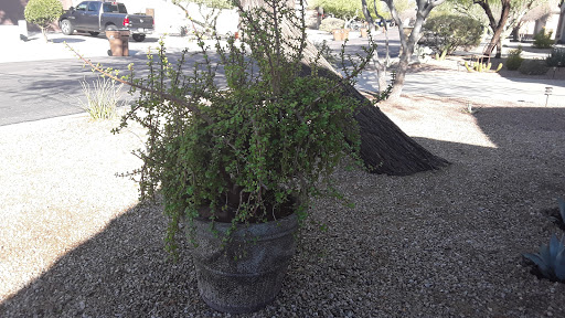 Book Store «Book Vault», reviews and photos, 6505 E Southern Ave #201, Mesa, AZ 85206, USA