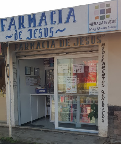 Pharmacy De Jesus, , Milpa Vieja (Apulco)
