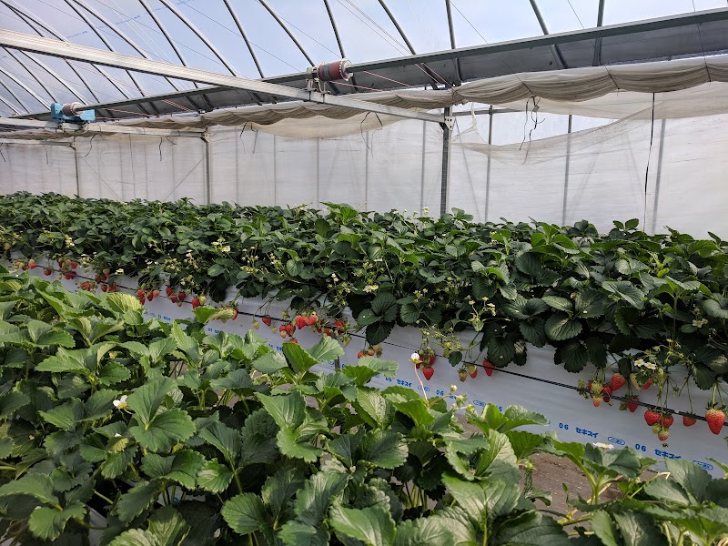 ファームスクエア 丹沢の森 神奈川県秦野市堀西 グルコミ