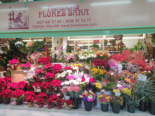 Flores Sara en LAS FLORES, Oviedo