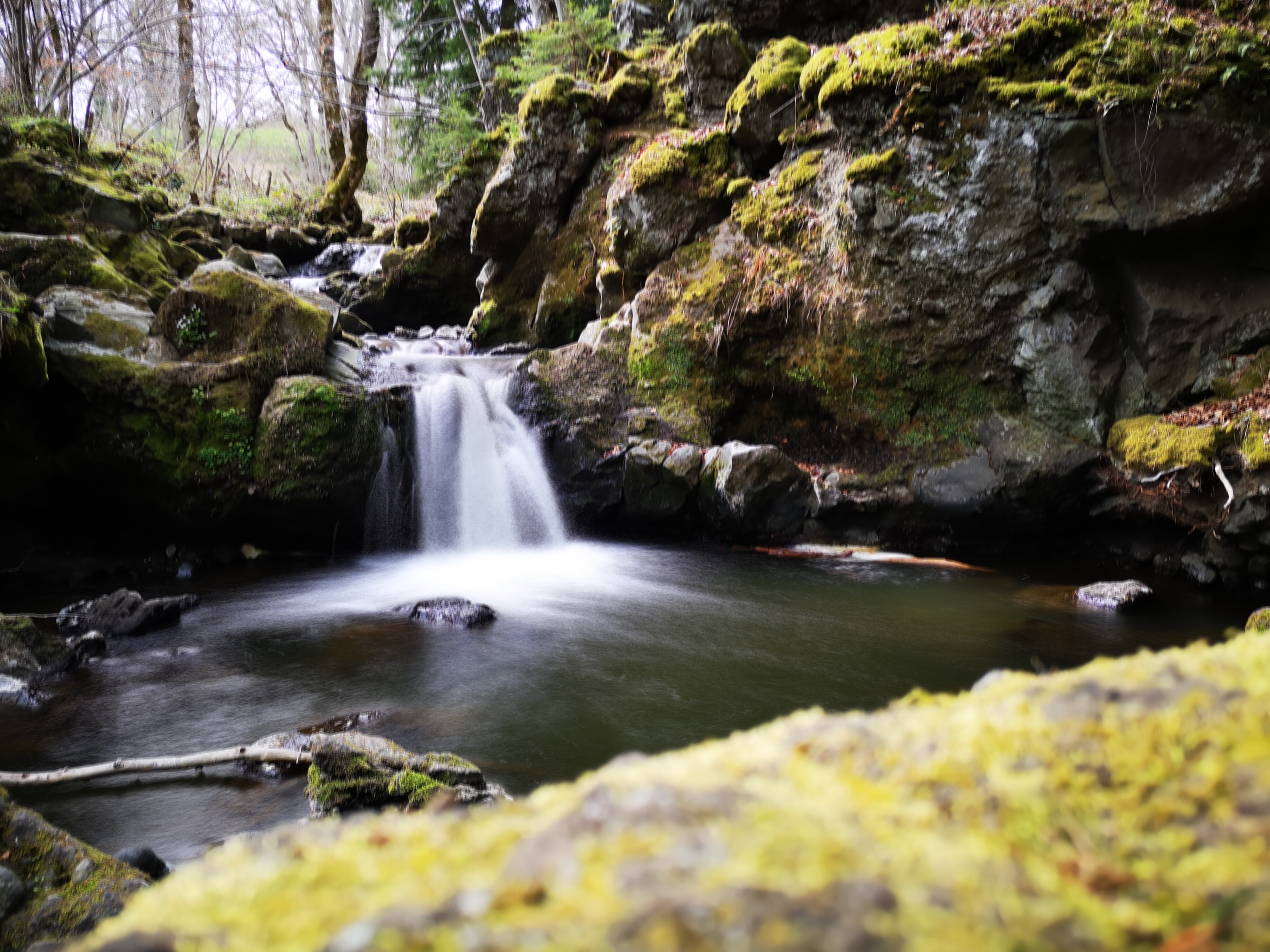 Photo n° 1 de l'avis de Gaëtan.a fait le 20/04/2019 à 11:29