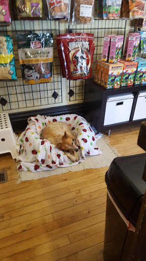 Pet Supply Store «Bentley’s Pet Stuff - Oswego», reviews and photos, 100 Main St, Oswego, IL 60543, USA