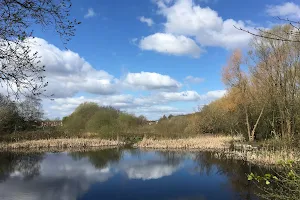 West Timperley Nature Reserve image
