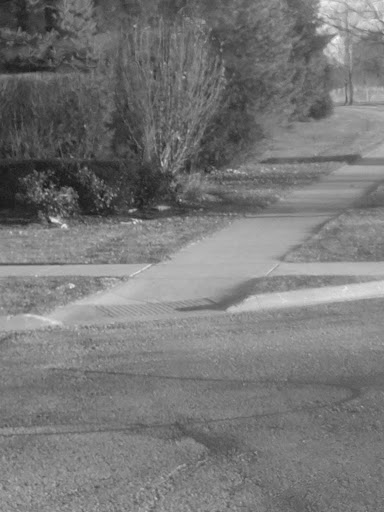 Park «Tuscany Trail Park», reviews and photos, 445 Grape Vine Trail, Oswego, IL 60543, USA