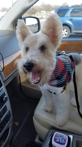 Pet Supply Store «PetSmart», reviews and photos, 5810 Antioch Rd, Merriam, KS 66202, USA