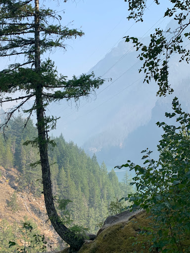 Campground «Winthrop / N. Cascades National Park KOA», reviews and photos