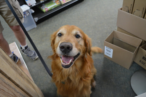Pet Supply Store «The Natural Pet Enrichment Center», reviews and photos, 6720 Royalton Rd, North Royalton, OH 44133, USA