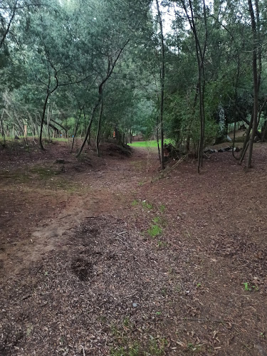 https://www.facebook.com/camping.santaamelia.5