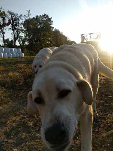 Walpole Valley Farms