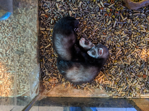 Pet Store «Discount Pets & Supplies», reviews and photos, 211 Hancock Bridge Pkwy, Cape Coral, FL 33990, USA