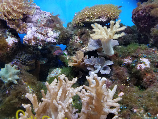 Pet Store «Pet World Warehouse Outlet», reviews and photos, 2984 S 108th St, Milwaukee, WI 53227, USA