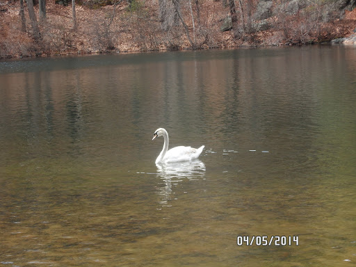 State Park «Breakheart Reservation», reviews and photos, 177 Forest St, Saugus, MA 01906, USA