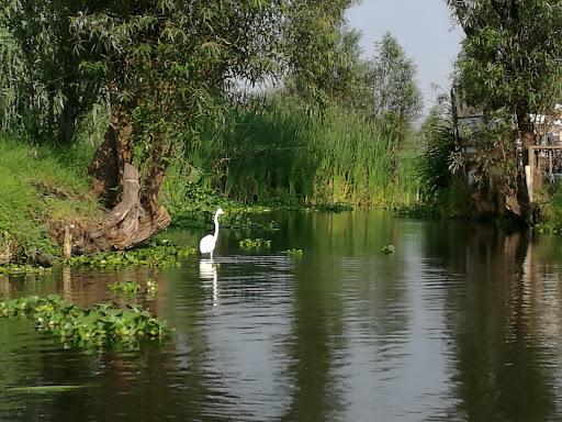 Canal El Laberinto