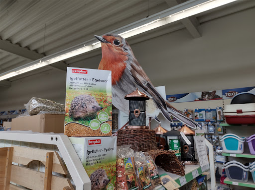 Raiffeisen-Markt Steinheim unter Steinheim, 