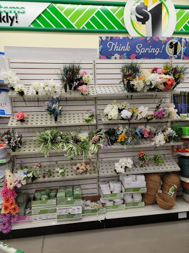 Dollar Store «Dollar Tree», reviews and photos, 1707 N Main St, Rushville, IN 46173, USA