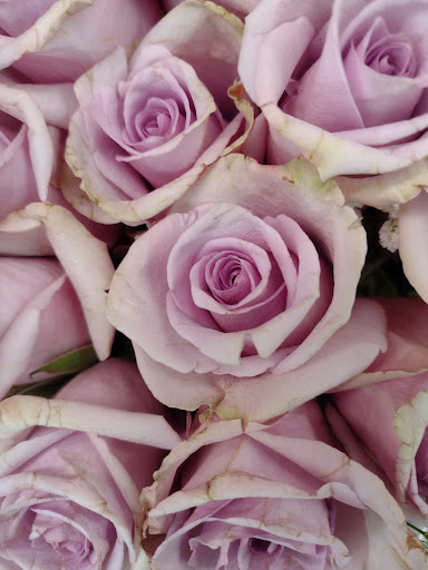 Grocery Store «Giant», reviews and photos, 1454 Chain Bridge Rd, McLean, VA 22101, USA