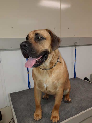 Pet Groomer «U Dirty Dog», reviews and photos, 232 Stevens Entry, Peachtree City, GA 30269, USA