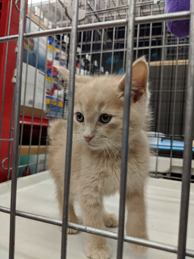 Pet Supply Store «Petco Animal Supplies», reviews and photos, 14051 Aldrich Ave S, Burnsville, MN 55337, USA