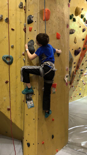 Gym «Portland Rock Gym Inc», reviews and photos, 21 NE 12th Ave, Portland, OR 97214, USA