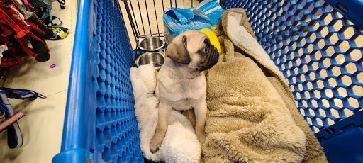 Pet Supply Store «PetSmart», reviews and photos, 2534 South Rd, Poughkeepsie, NY 12601, USA