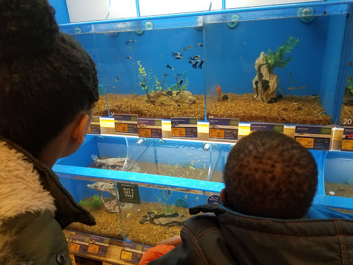 Pet Supply Store «PetSmart», reviews and photos, 607 Belmont St, Brockton, MA 02301, USA