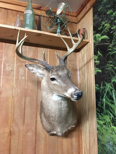 Grocery Store «Shelby Forest General Store», reviews and photos, 7729 Benjestown Rd, Millington, TN 38053, USA