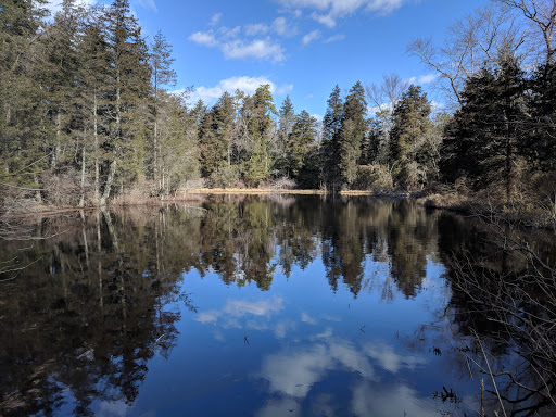 Park «Glassboro Wildlife Management Area», reviews and photos, Fries Mill Rd, Clayton, NJ 08312, USA