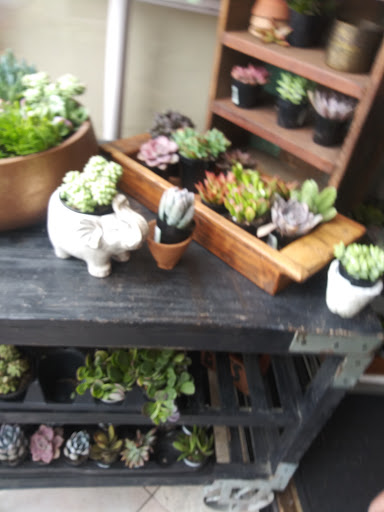 Gift Shop «Dancing Elephant, Inc.», reviews and photos, 2006 San Marco Blvd, Jacksonville, FL 32207, USA