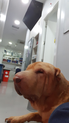 Hospital Veterinario Cruz Piedra en San Cristóbal de La Laguna