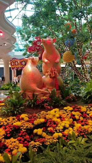The Orleans Hotel & Casino - photo 56